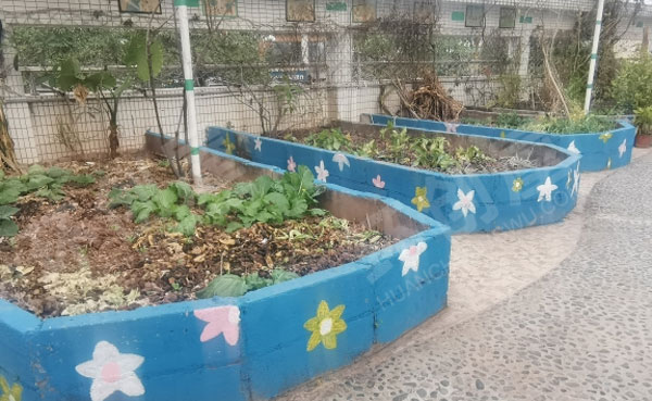 幼儿园户外环创植物角围墙绘画图片