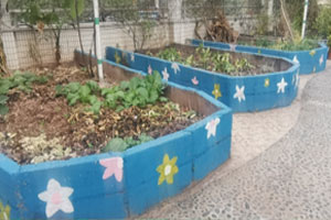 幼儿园户外环创植物角围墙绘画图片2张