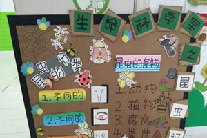 幼儿园科学区有趣的昆虫图片