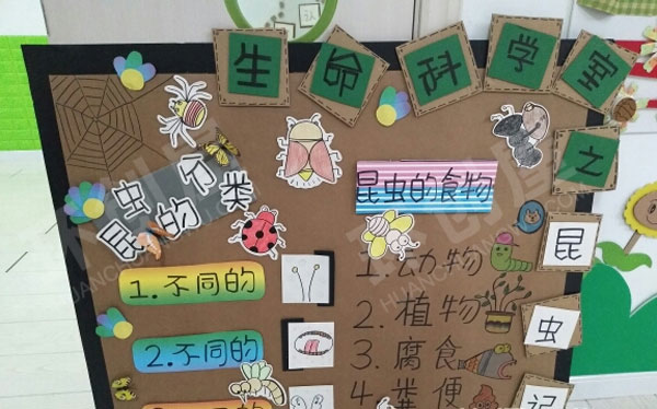 幼儿园科学区有趣的昆虫图片