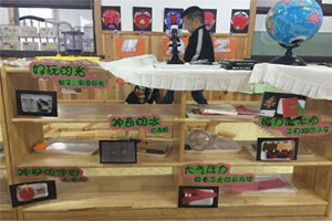 幼儿园益智区各种益智游戏实验图片3张