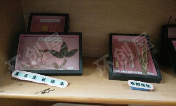 幼儿园科学区参观实验室图片