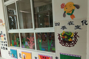 幼儿园一切都在变化主题墙图片4张