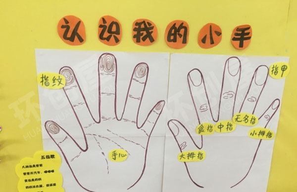 幼儿园我的小手真能干墙面布置图片