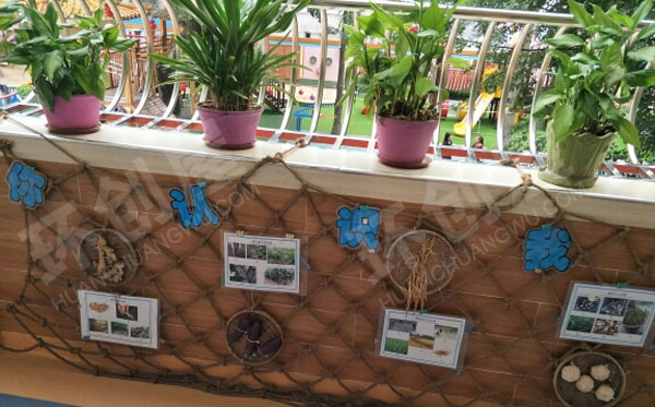 幼儿园户外环创植物角工具图片