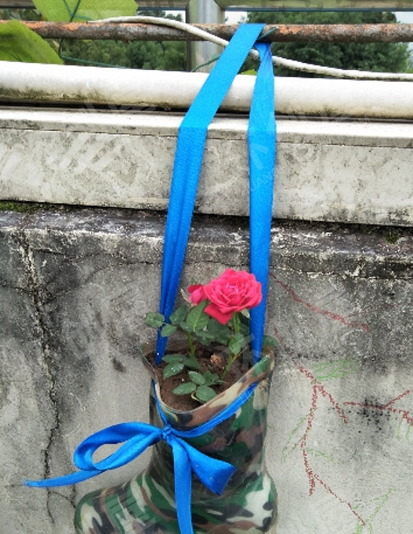 幼儿园户外环创废物利用种植花朵图片