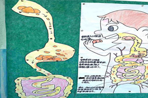 幼儿园科学区食物去哪儿了自制图片2张