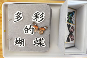 幼儿园科学区镜子对称蝴蝶图片