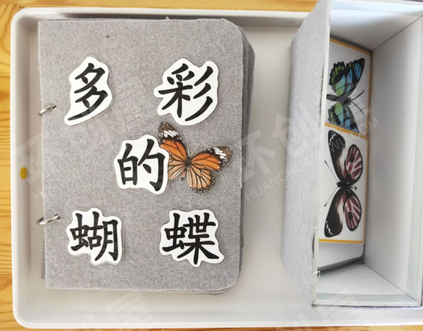幼儿园科学区镜子对称蝴蝶图片