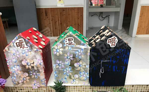 幼儿园科学区废物利用植物角暖湿暗图片