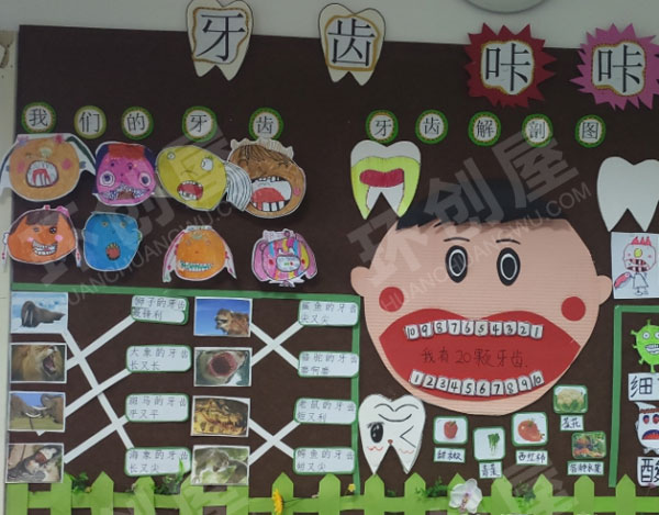 幼儿园主题墙环创牙齿的不同的形态图片