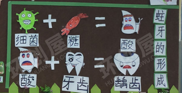 幼儿园主题墙环创牙齿的不同的形态图片