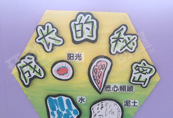 幼儿园走廊墙面小园丁主计划板图片