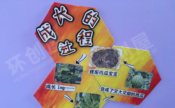 幼儿园走廊墙面小园丁主计划板图片