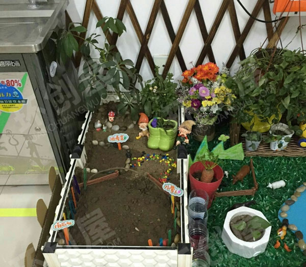 幼儿园科学区开心农场种植探究图片
