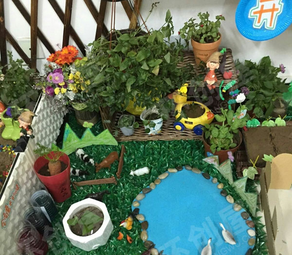 幼儿园科学区开心农场种植探究图片