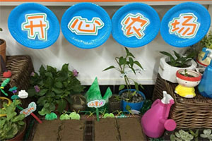 幼儿园科学区开心农场种植探究图片5张