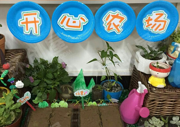 幼儿园科学区开心农场种植探究图片