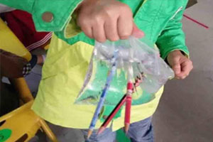 幼儿园科学区神奇的水袋图片4张