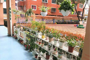 幼儿园走廊自然角的创意图片4张