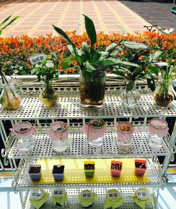 幼儿园走廊自然角的创意图片