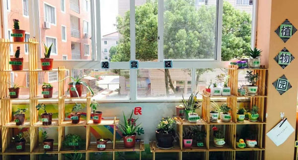 幼儿园走廊自然角的创意图片