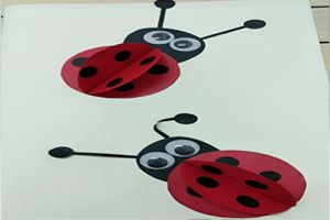 幼儿园手工立体七星瓢虫作品展示图片2张