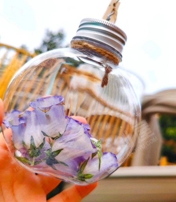 幼儿园户外寻找春天超级唯美小花园图片