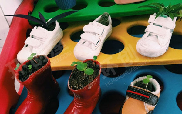 幼儿园户外废物利用放置植物角图片