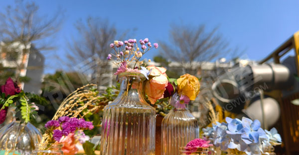 幼儿园户外寻找春天超级唯美小花园图片