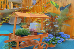 幼儿园户外寻找春天超级唯美小花园图片10张