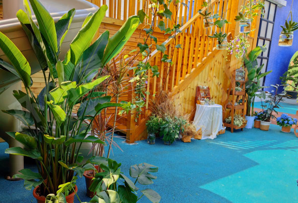 幼儿园户外寻找春天超级唯美小花园图片