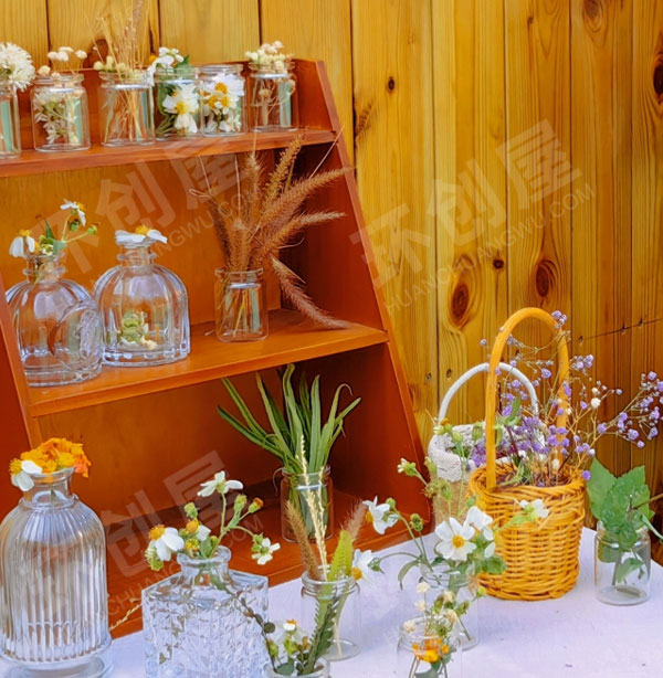 幼儿园户外寻找春天超级唯美小花园图片