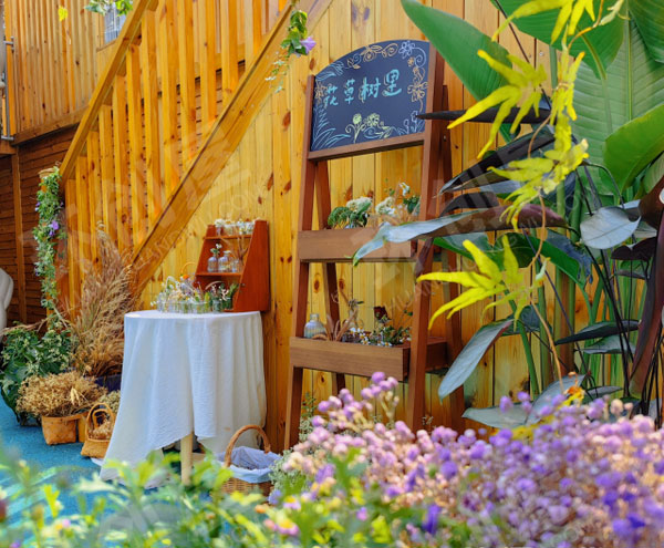 幼儿园户外寻找春天超级唯美小花园图片