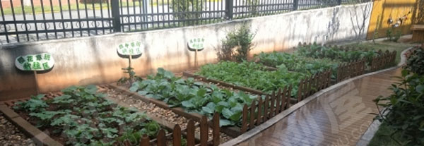 幼儿园户外安逸农村乐图片