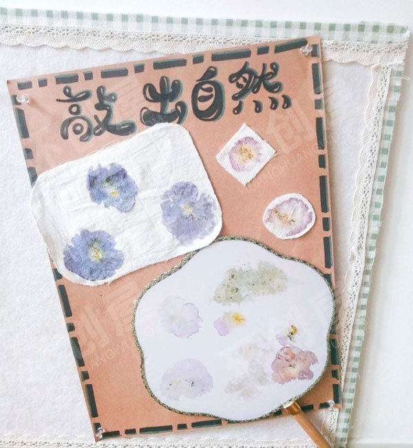 幼儿园科学区敲染技艺图片