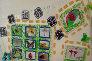 幼儿园我知道的昆虫主题墙环创图片6张