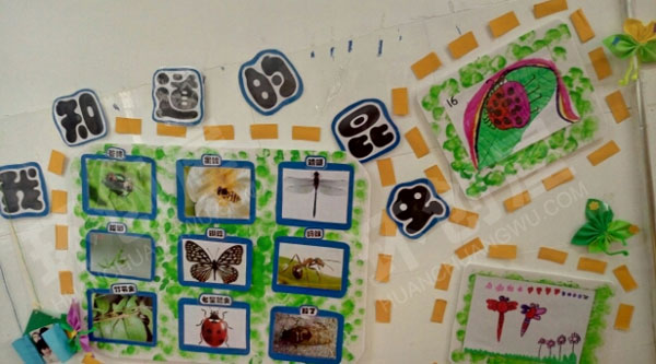 幼儿园我知道的昆虫主题墙环创图片