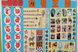 幼儿园动物王国环创主题墙图片3张
