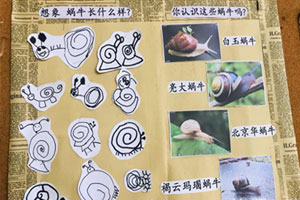 幼儿园大树的奥妙主题墙环创图片7张