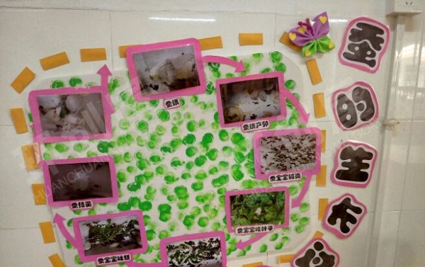 幼儿园我知道的昆虫主题墙环创图片