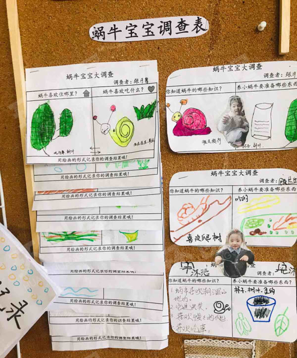 幼儿园各种各样的蜗牛主题墙环创图片