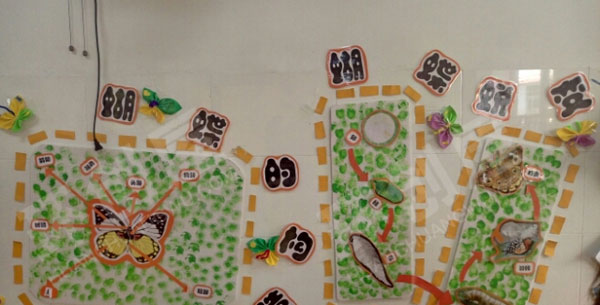 幼儿园我知道的昆虫主题墙环创图片