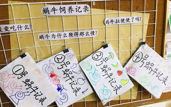 幼儿园各种各样的蜗牛主题墙环创图片