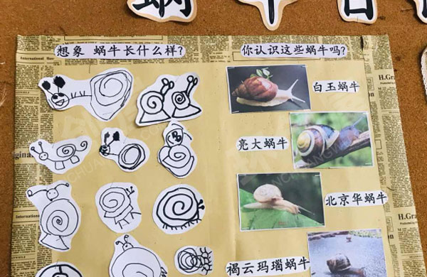 幼儿园各种各样的蜗牛主题墙环创图片