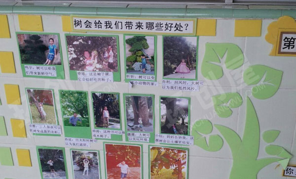 幼儿园大树的奥妙主题墙环创图片