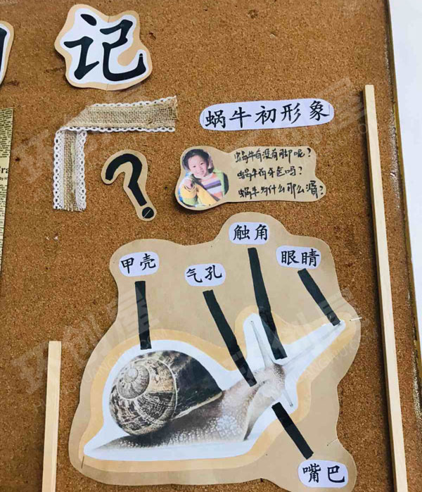 幼儿园各种各样的蜗牛主题墙环创图片