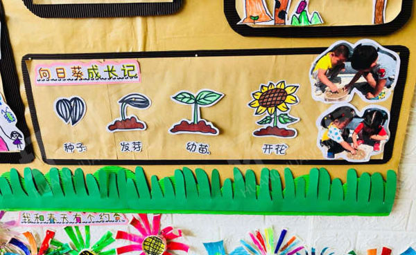 幼儿园寻找美丽的春天环创墙面布置图片