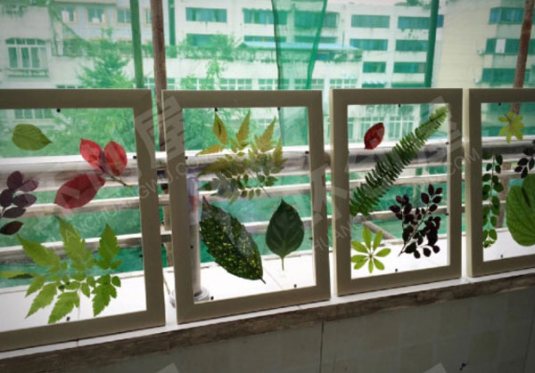 幼儿园废物利用窗台树叶裱花树叶装饰图片