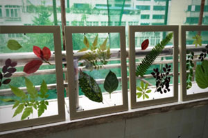 幼儿园废物利用窗台树叶裱花树叶装饰图片4张